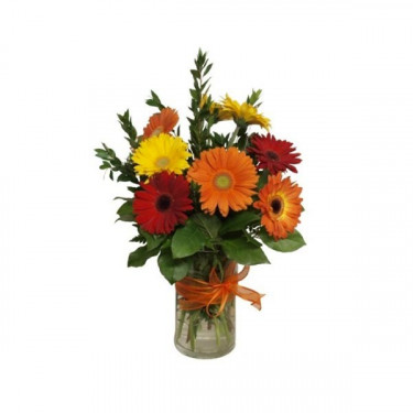 L'arrangement plein de soleil